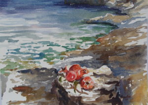 Pomegranates by the Sea, Greece